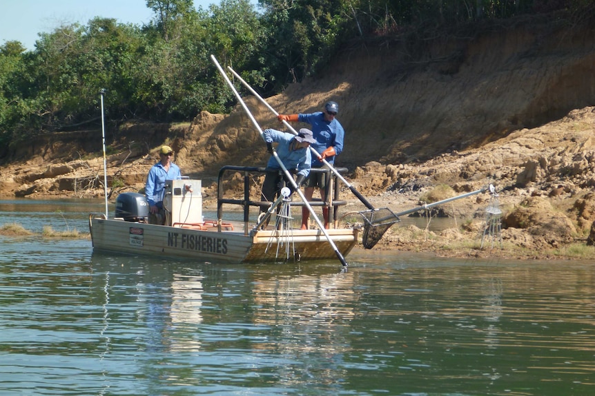Electrofishing teams of researchers on oat floating on Daly River.