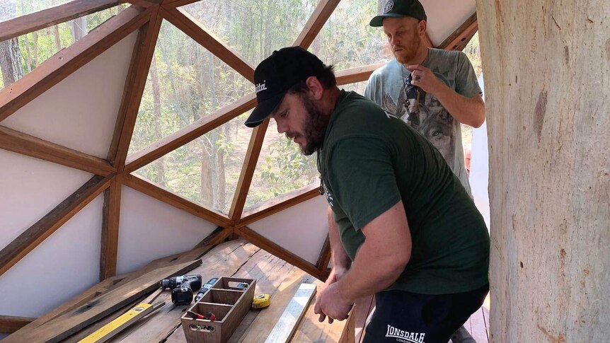 Two men with carpentry tools bulding a tree house