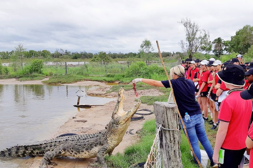 A woman throws meat to a crocodile as shcool children watch