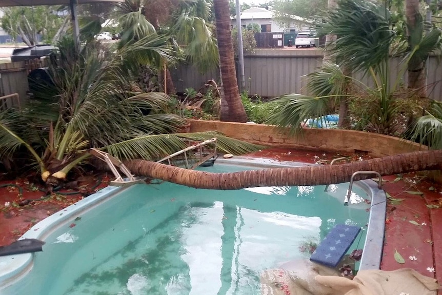 A palm tree lies smashed over a swimming pool in a Broome backyard.