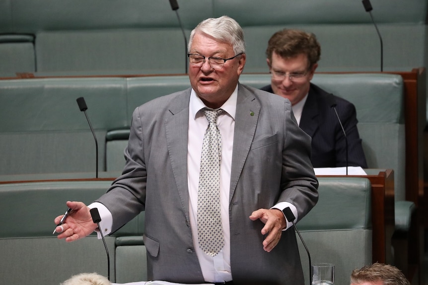 Nationals MP Ken O'Dowd speaks during Question Time in the House of Representatives