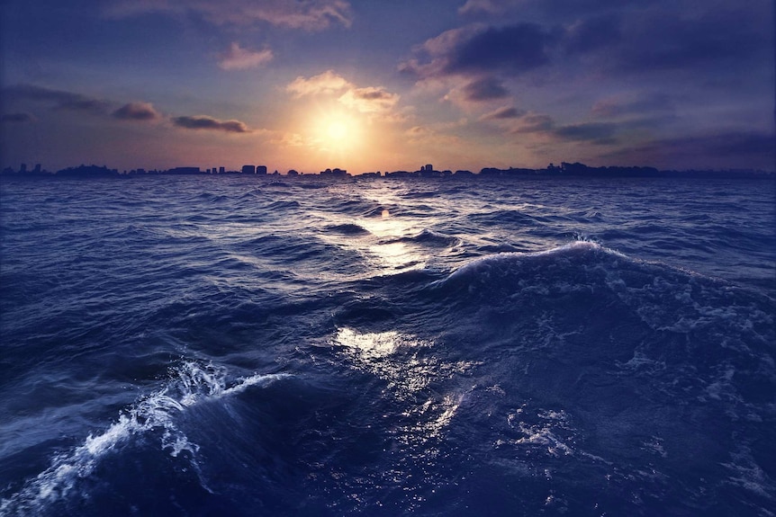 The waves of the Rio de la Plata, with the coastline of Buenos Aires seen in the background.