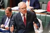 Treasurer Scott Morrison gestures with both hands in Question Time