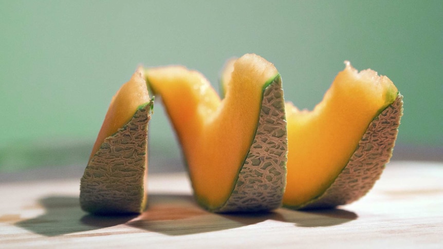 Three slices of freshly-cut rockmelon.