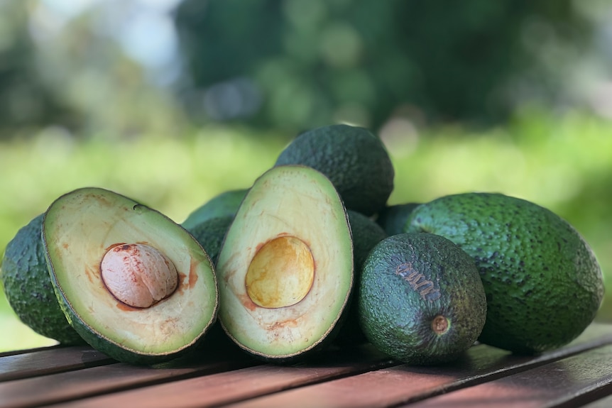 A cut open avocado and whole avocados lay on table