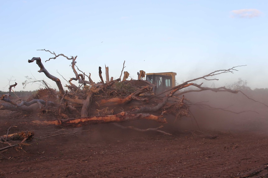 a bulldozer pushing up trees