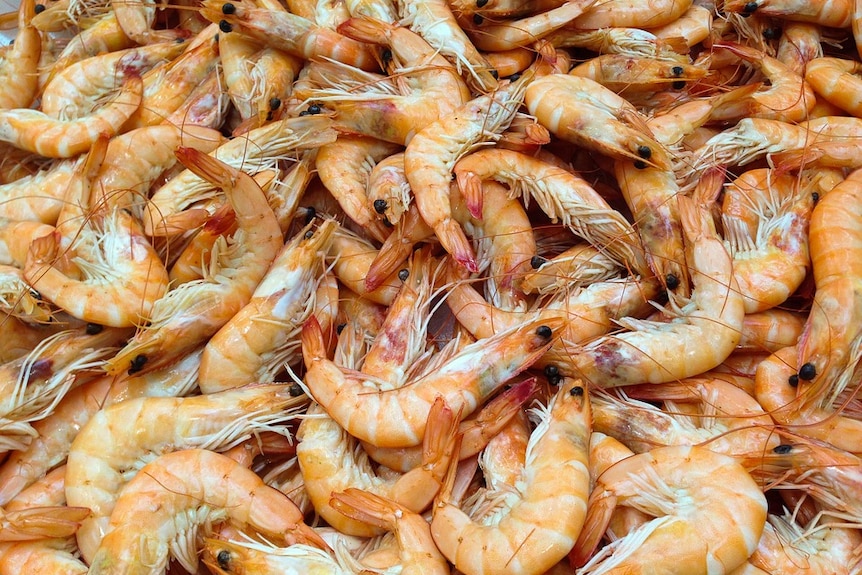 A large pile of tiger prawns.