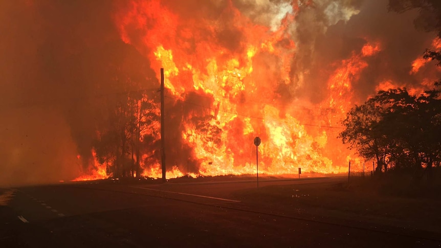 Inferno over a road in western Sydney.