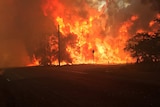 Inferno over a road in western Sydney.