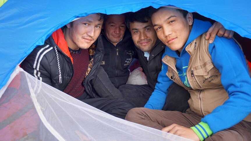 Mohammed peers out of a tent opening along with three other men.