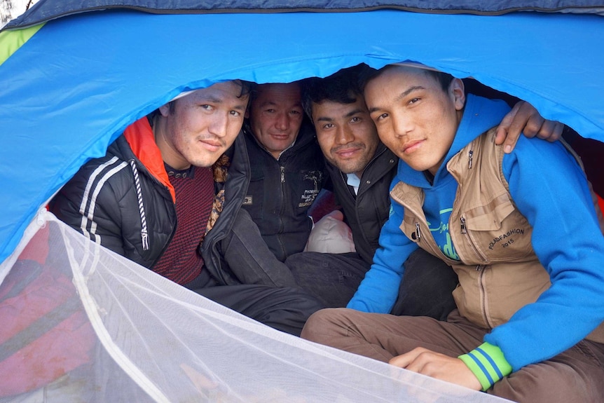 Mohammed peers out of a tent opening along with three other men.