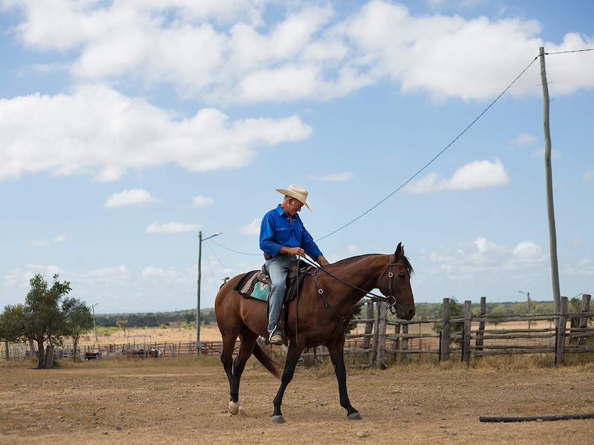 A man wearing a blue shirt and cowboy hat, sits on a horse with blue sky and clouds in the background