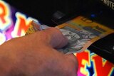 a 50 dollar note being put into a poker machine