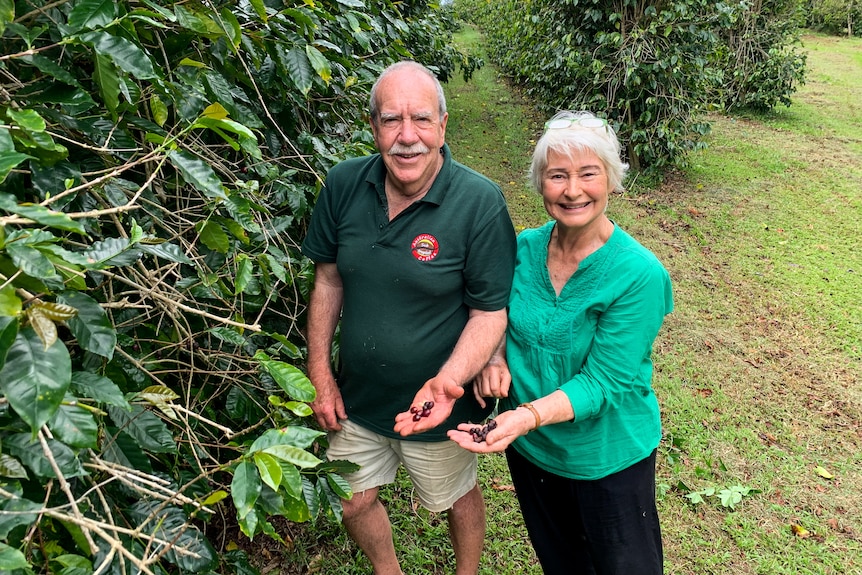 An older couple, smiling and holding out their hands to show coffee beans.