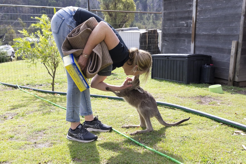A middle aged woman gives a joey a cuddle