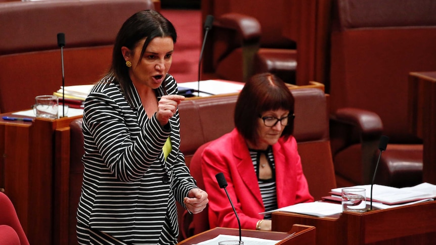 Jacqui Lambie on speaks and points her finger in the Senate on November 24, 2016.