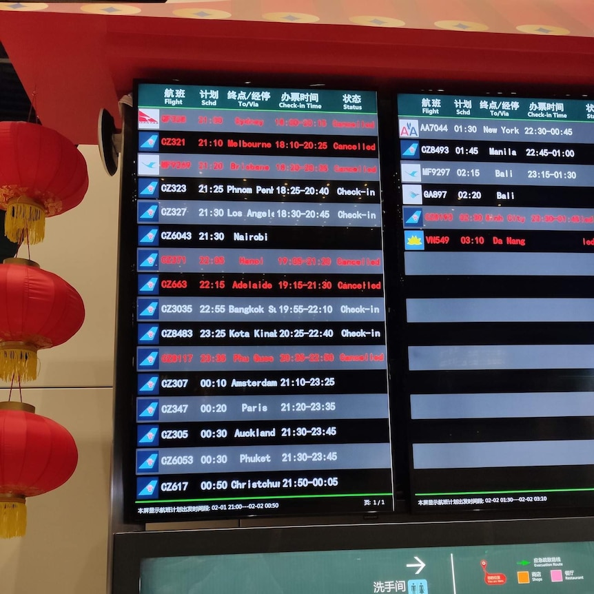 A board at the airport showing all the cancelled flights.