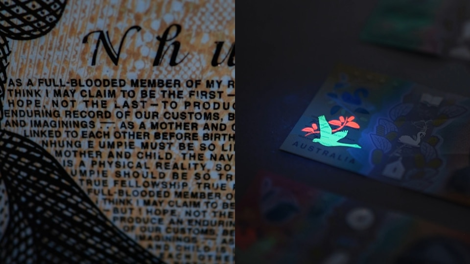 Composite image of hidden microtext on a note, and a bird and flower image revealed under a UV light. 