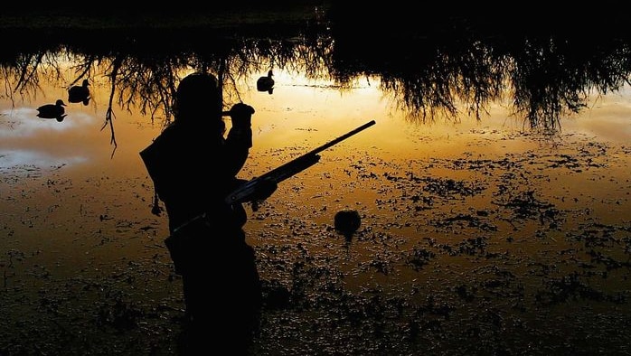 A duck hunter in Victoria calls ducks as the sun rises.