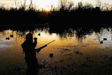 A duck hunter calls ducks as the sun rises