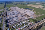 An overhead picture of the sprawling Heyfield sawmill.