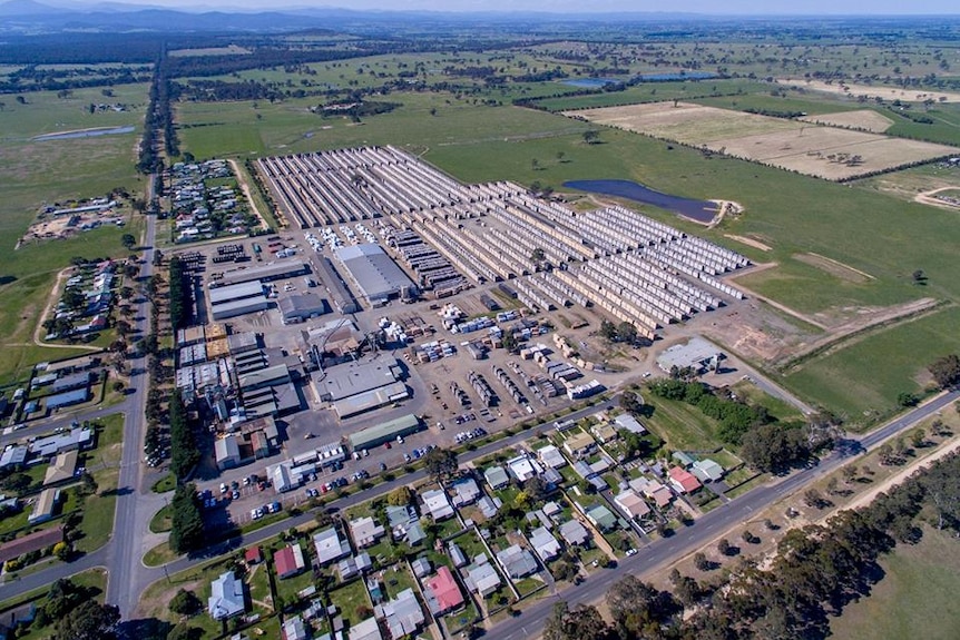 An overhead picture of the sprawling Heyfield sawmill.