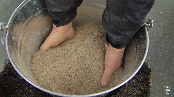 Hands in a metal bucket filled with fertiliser.
