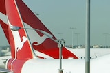 The tails of two Qantas planes