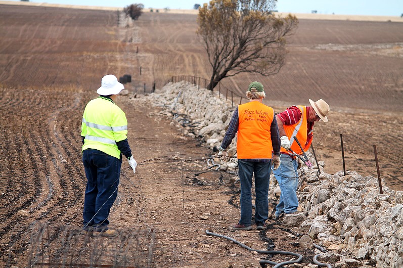 Volunteers wearing high visibility vests remove a burnt fence from a stone wall in a burnt paddock.