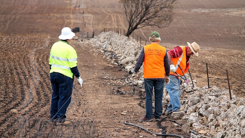 Volunteers wearing high visibility vests remove a burnt fence from a stone wall in a burnt paddock.