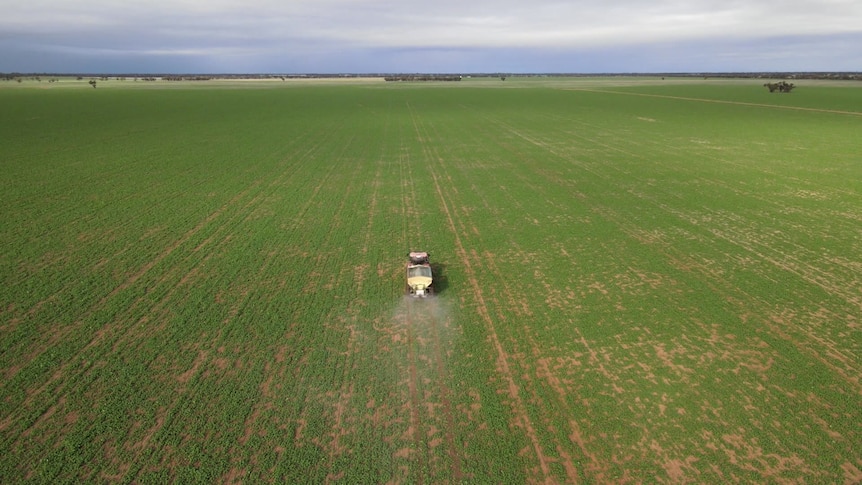 a bird's eye view of a tractor spreading fertiliser