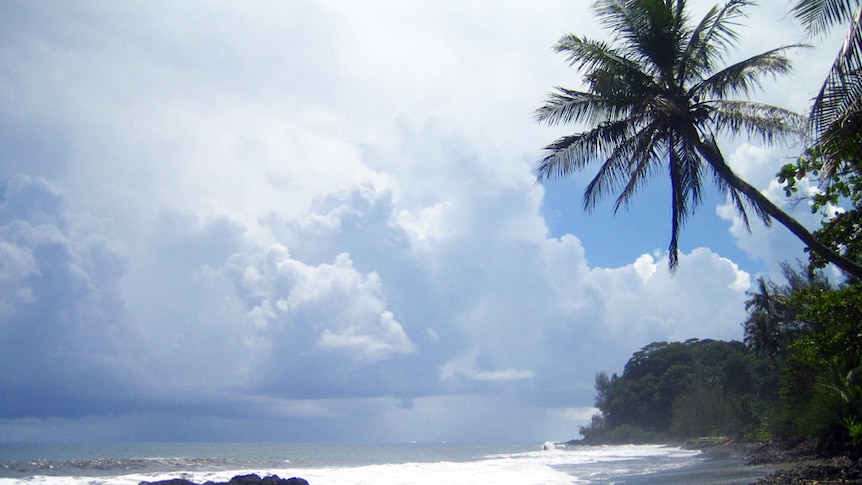 Beach and palm trees in Tahiti