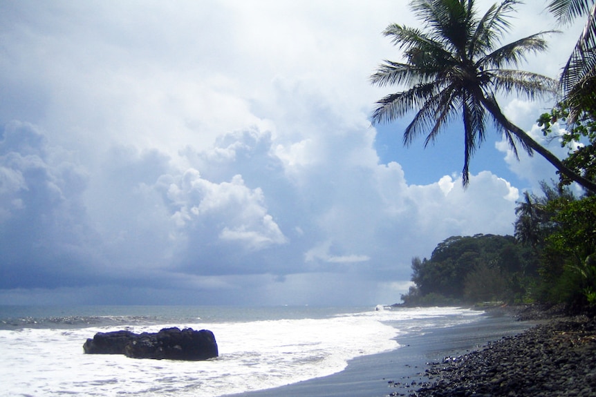 Beach and palm trees in Tahiti