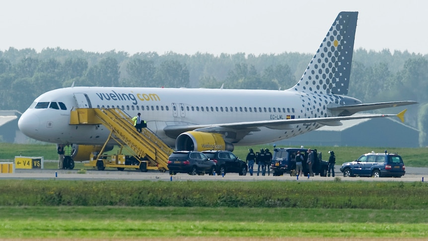 A Vueling plane parks at a field near Amsterdam Airport after a hijack scare August 29, 2012.
