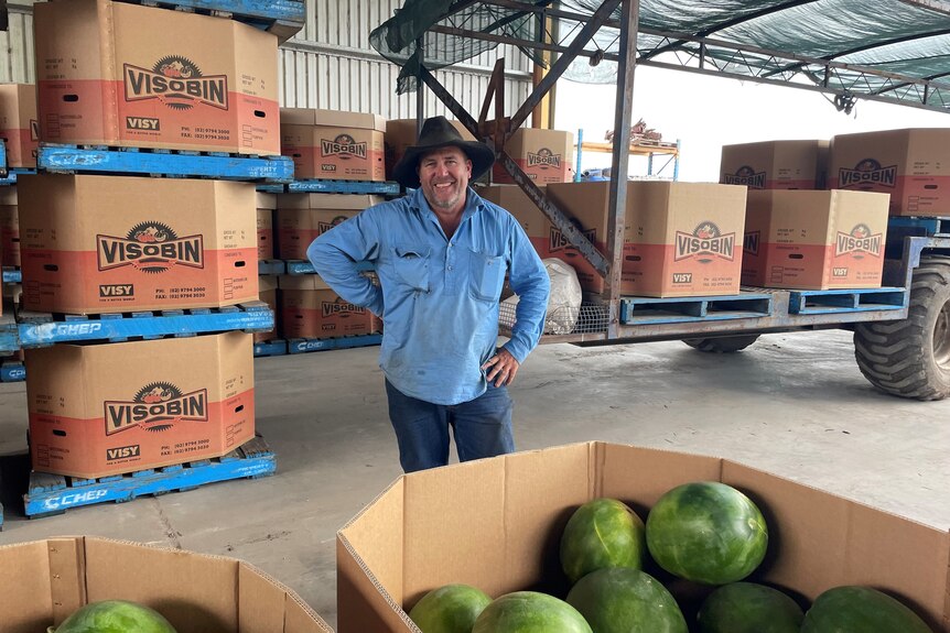 Man in blue shirt and wide brimmed hat standing in front of brown box of green watermelons.