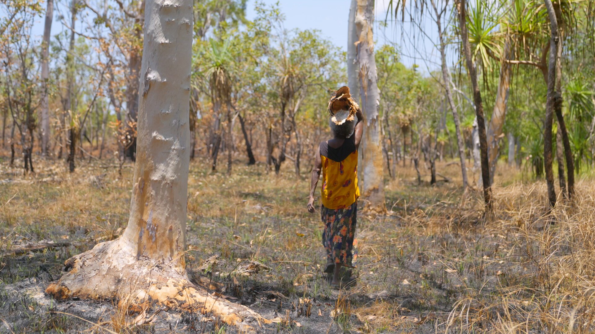 Thumbnail image for video.