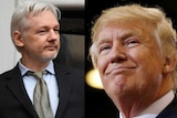 A composite image shows Julian Assange and Donald Trump.