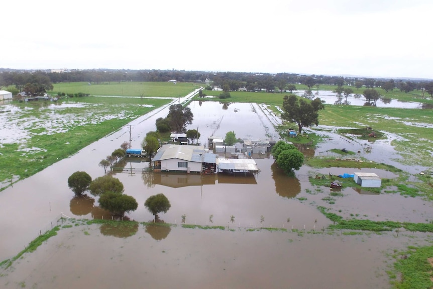 About 100 properties near Forbes continue to be isolated due to flood water.