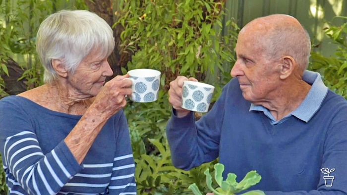 A man and a woman holding up tea cups in a 'cheers' gesture.