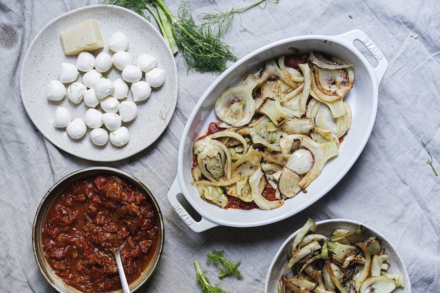 Ingredients including a plate of bocconcini balls, pecorino, a bowl of rich tomato sauce, cooked fennel, and a baking dish.