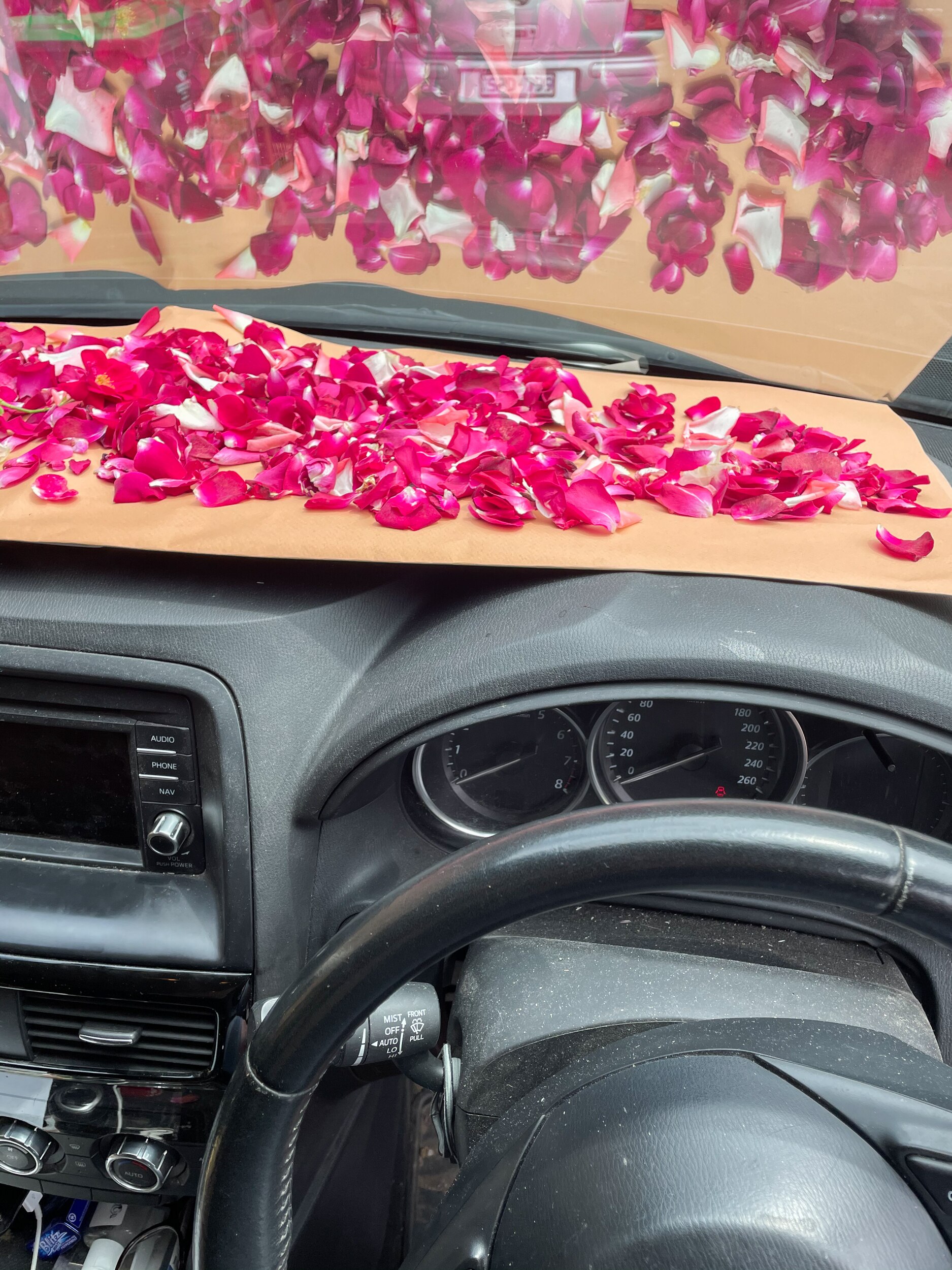 bright red flower petals are strew on brown paper sitting on the dashboard of a car
