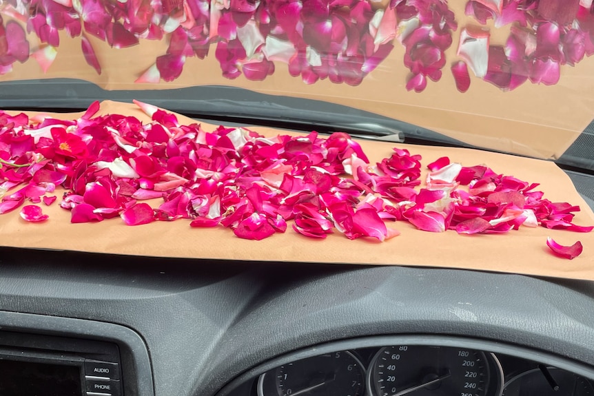bright red flower petals are strew on brown paper sitting on the dashboard of a car
