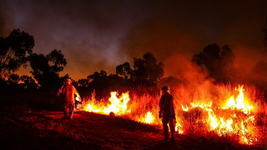 Firefighters light grassy areas at night