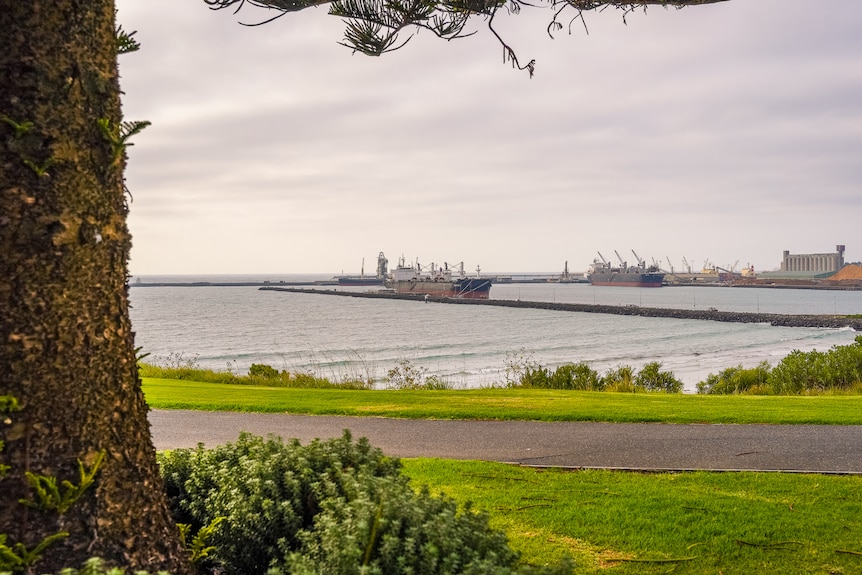 A large ship sits in a harbour early in the morning.