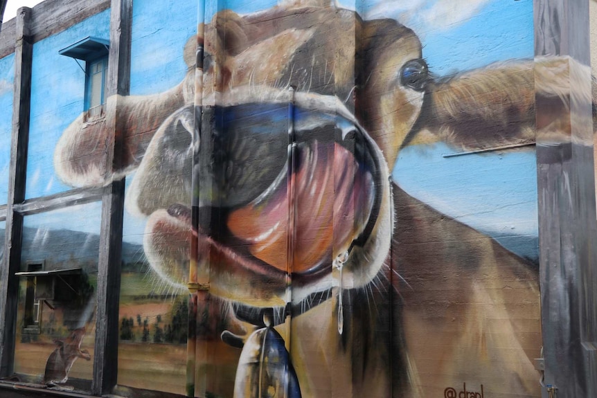 A mural of a cow's face with it's tongue licking the nose