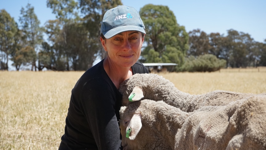 A woman cuddles a sheep in a paddock