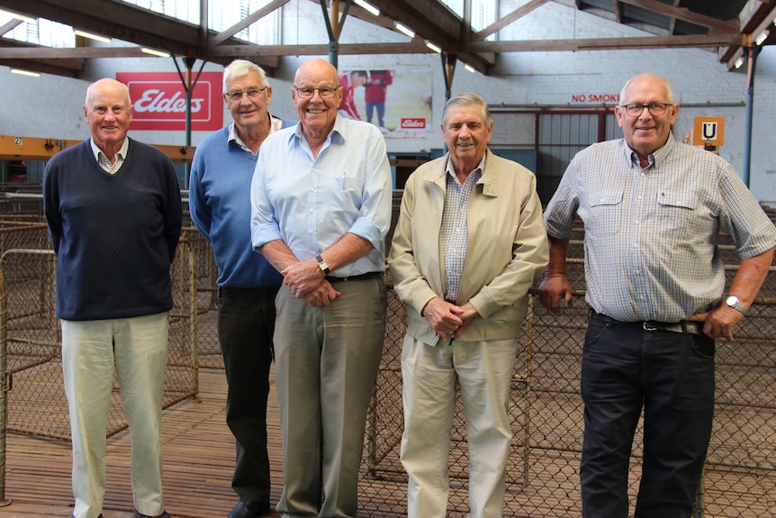 Five men standing in a shed that has sheep yards in it. The men are standing in a row wearing different shades of blue shirts. 