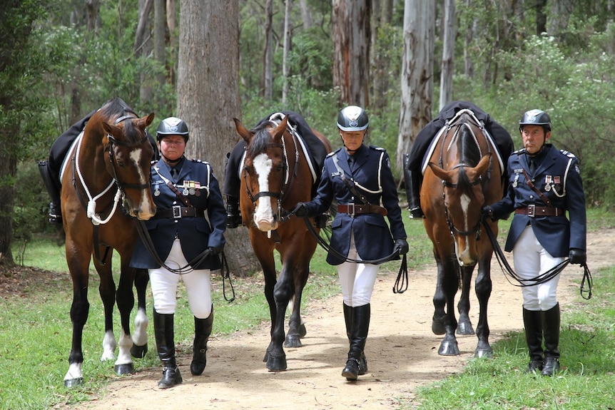 Three riderless horses are led along the new walking trails at Stringybark Creek Reserve to honour three murdered policemen
