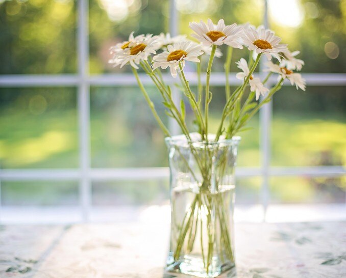 Designing heat resistant homes