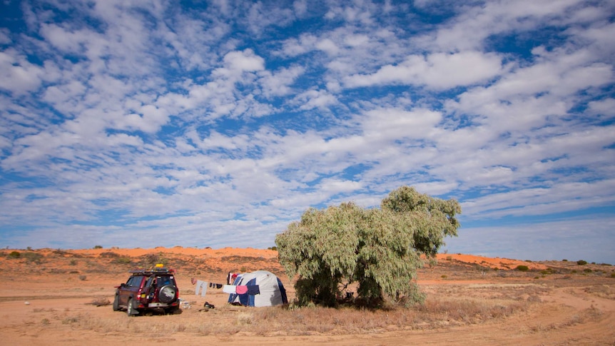 The family parks the car and sets up camp next to a tree in the middle of nowhere.